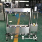 Filler Machine Semi Automatic Beer Bottler Filler Semi Automatic Beer Filling Machine Small Beer Filler