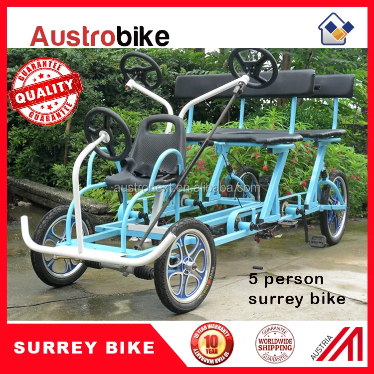 electric surrey bike