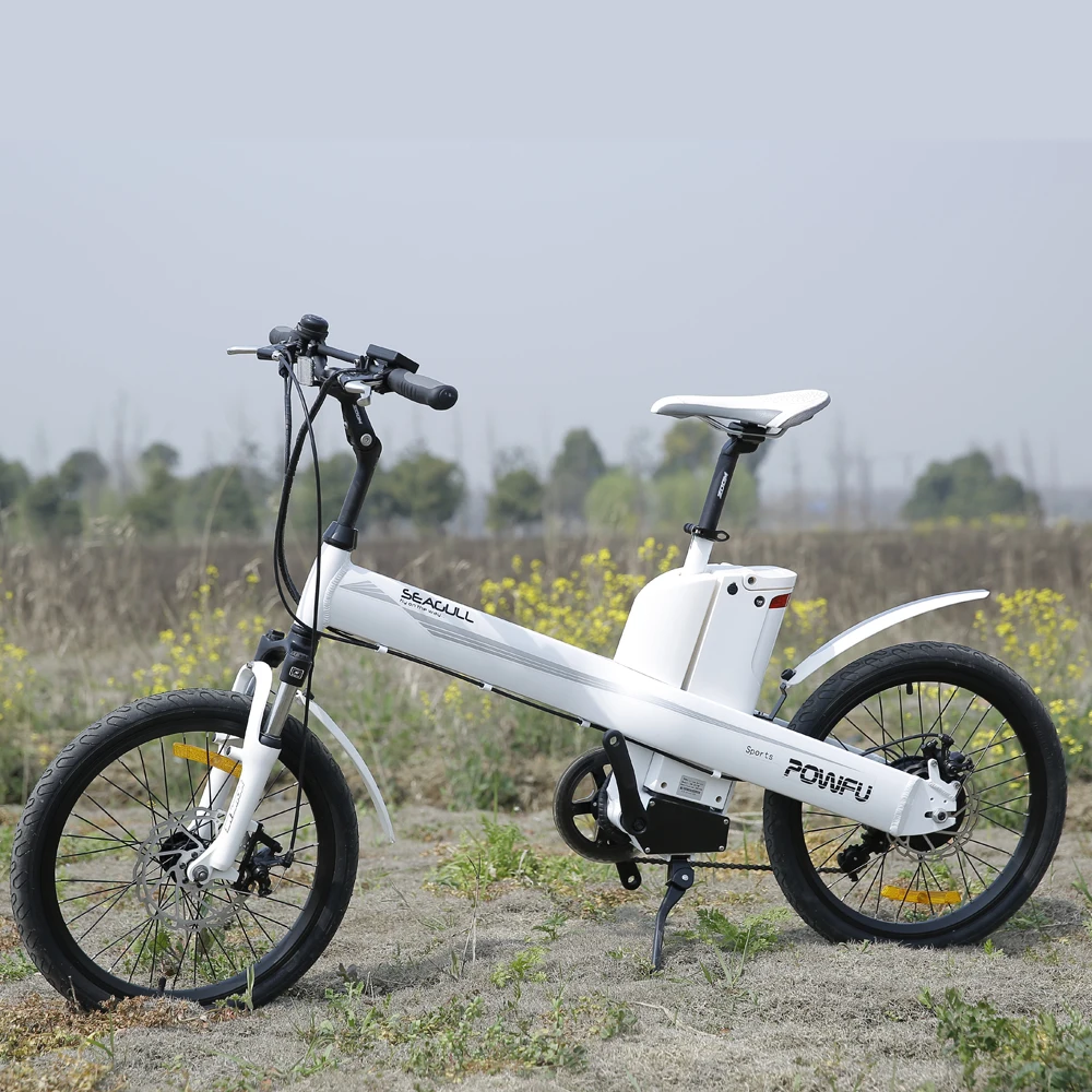 seagull electric bike