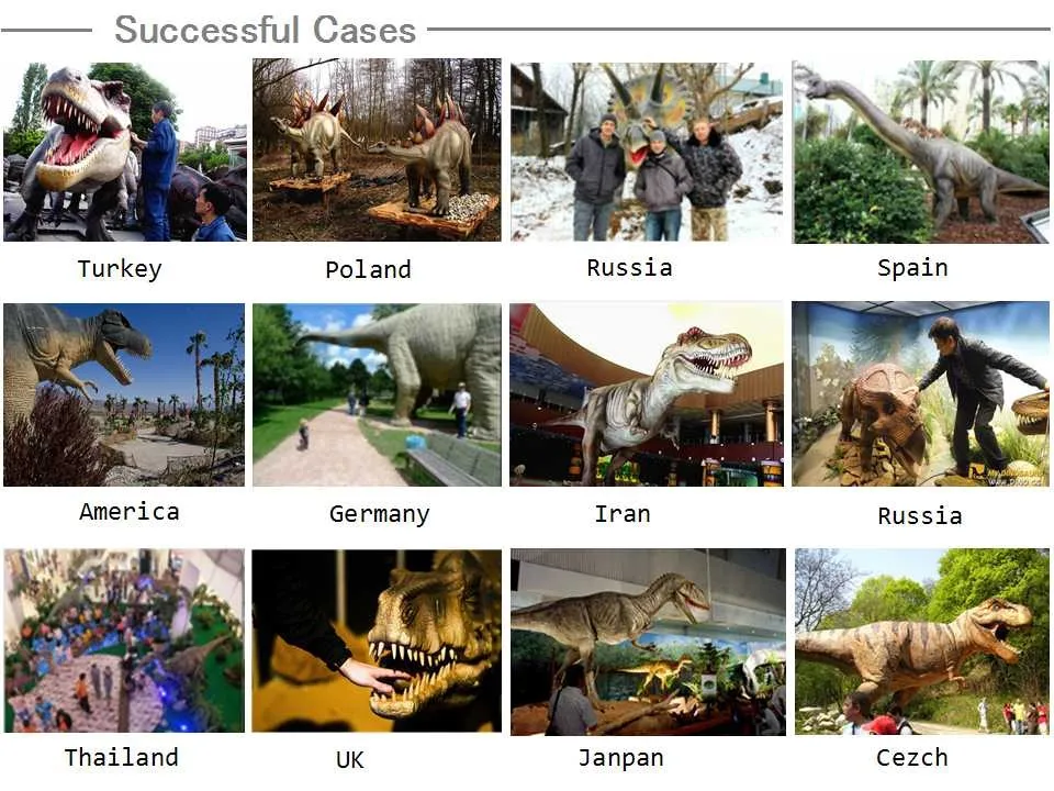 .jpg