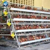 /product-detail/chicken-layer-cages-automatic-feeding-equipment-60156840112.html