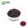 /product-detail/acai-berry-freeze-dried-powder-acai-dried-powder-acai-powder-60814967500.html
