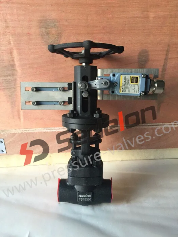 New Type Api Approved Wcb A105 Position Indicator Gate Valve Buy