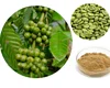 /product-detail/gmp-certificate-popular-herbal-green-coffee-bean-extract-powder-60182955632.html