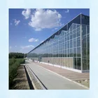 Hot Sale Galvanized Steel Venlo Multi Span Clear Glass Garden Greenhouse