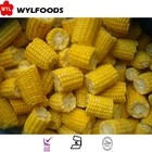 2017 IQF Frozen sweet corn on cob cut
