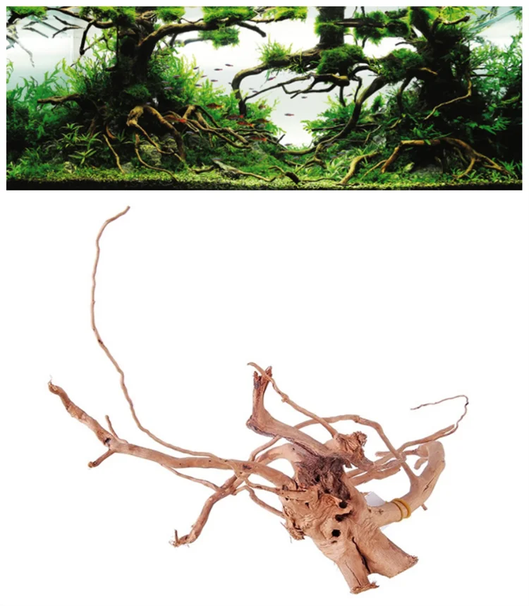 driftwood (1).png
