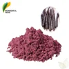 /product-detail/organic-purple-carotene-juice-concentrate-powder-pure-black-carrot-extract-60701171004.html
