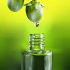 popular jojoba oil sell tanzania indonesia kenya