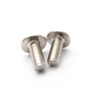 Screw Manufacturer Screws OEM ODM M2 M3 M4 M5 M6 M7 M8 M10 ISO 7380 Hexagonal Hex Socket Button Head Cap Screw