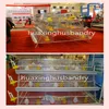 New high quality broiler chick rate/professional poultry equipment for broilers
