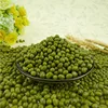 export green mung beans mung bean green mung price