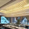 Customized Led Fiber Optic Light for Lobby Decoration light chandelier pendant lamp