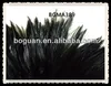 Long Crow Black Rooster Hackle Feather