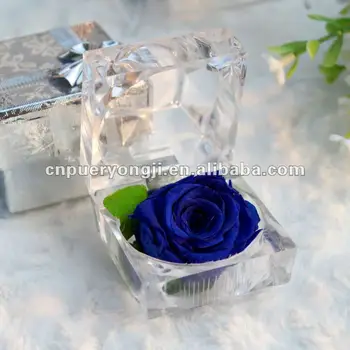 2016 Best Selling Wedding Gifts 100% Natural Preserved Big Roses  Buy 