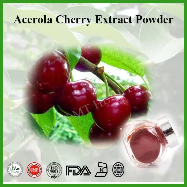 free sample acerola cherry fruit powder/hig quality malpighia