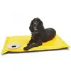 Multi-Use Waterproof Washable Fast-dry Orthopedic Pet Dog Mattress