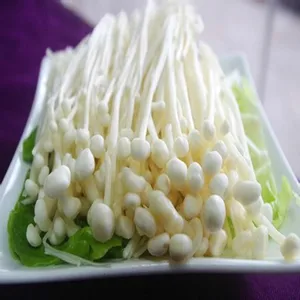 enoki mushroom,bitter melon health white enoki mushroom wholesale