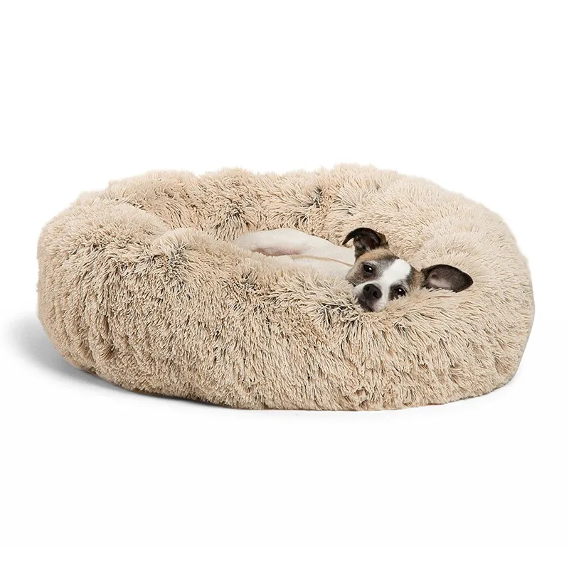 dog bed 1