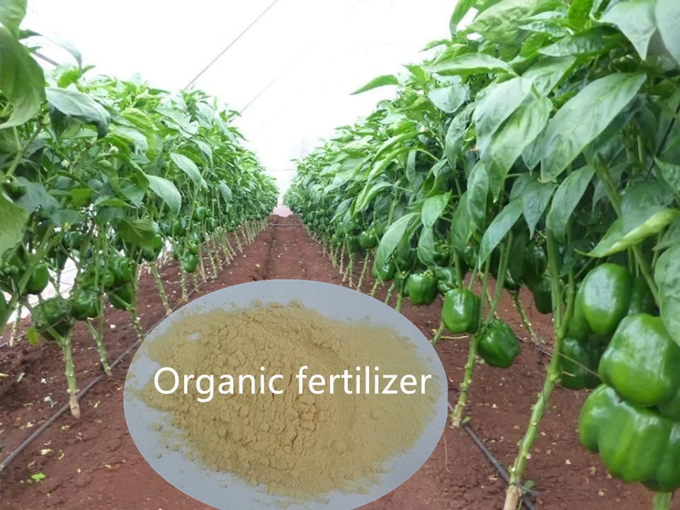 Compound Amion Acid Powder 80%