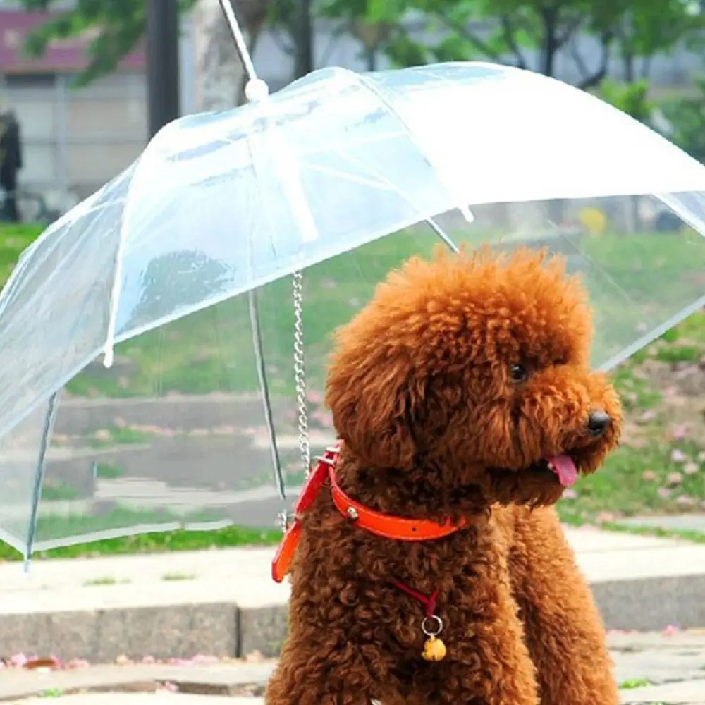 1Pcs Cute Fashion Attractive Comfortable Transparent PVC Dog Puppy Pet Umbrella for Outdoor Rain Travel Hiking pet supplies