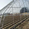 /product-detail/greenhouse-kits-grow-tent-kits-hydroponic-kits-single-span-gothic-greenhouse-62118840046.html