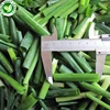 IQF organic spring onion chinese cut frozen shallot of price