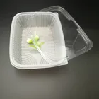 Disposable plastic food tray,food packaging,date tray