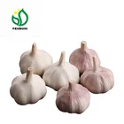 2019 New Crop chinese garlic keeper good quality wholesale garlic price per ton