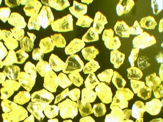 RVDR (1)