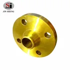 DIN/ANSI/JIS/BS/GOST Carbon Steel Tongue And Groove Flange