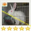 /product-detail/galvanized-rabbit-farming-cage-cheap-price-1249773113.html
