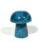 Natural Apatite Crystal Quartz Mushroom For Decoration 1 pack contain 10 pieces