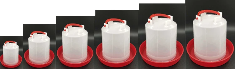 chicken water feeder.jpg
