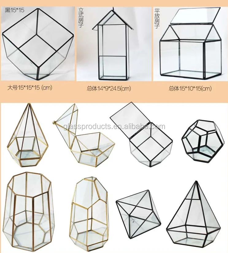 geometric terrarium.png