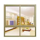 home/ house large tinted glass sliding window
