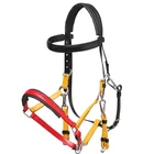 Horse Colorful Adjustable Horse Racing Equestrian Bridle
