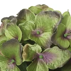 Customization Multi Color Hydrangea Macrophylla Oakleaf Hydrangea Artificial Hydrangea Flower Stick