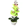 /product-detail/wholesale-white-plastic-pot-orchid-flower-pots-artificial-flower-pot-60256819383.html