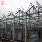 Multi-span glass agricultural greenhouse
