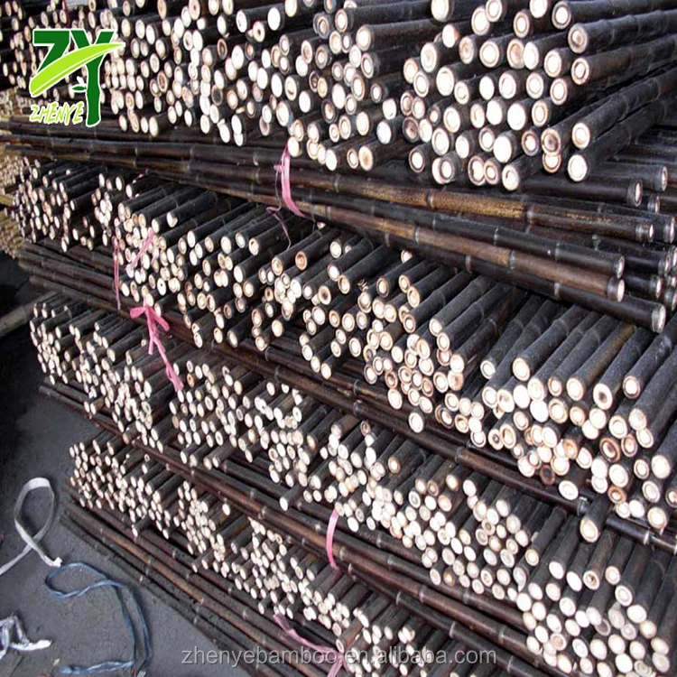 ZY-1006 Natural Black Poles5.jpg