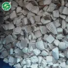 frozen mushroom and frozen fresh oyster mushroom