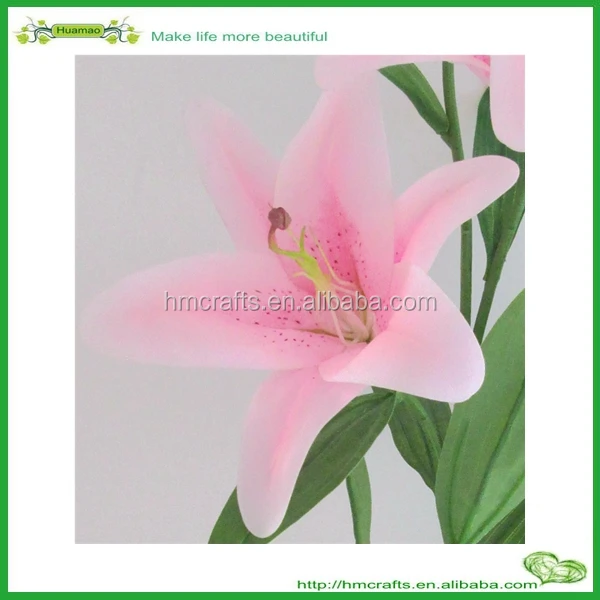 canada flowers in