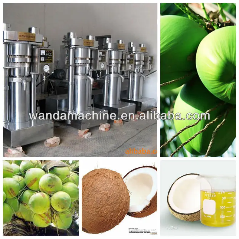 mini fresh coconut fruit oil extraction machinery with Environmental protection