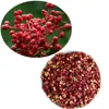 /product-detail/top-grade-organic-chinese-dried-sichuan-pepper-62035320178.html