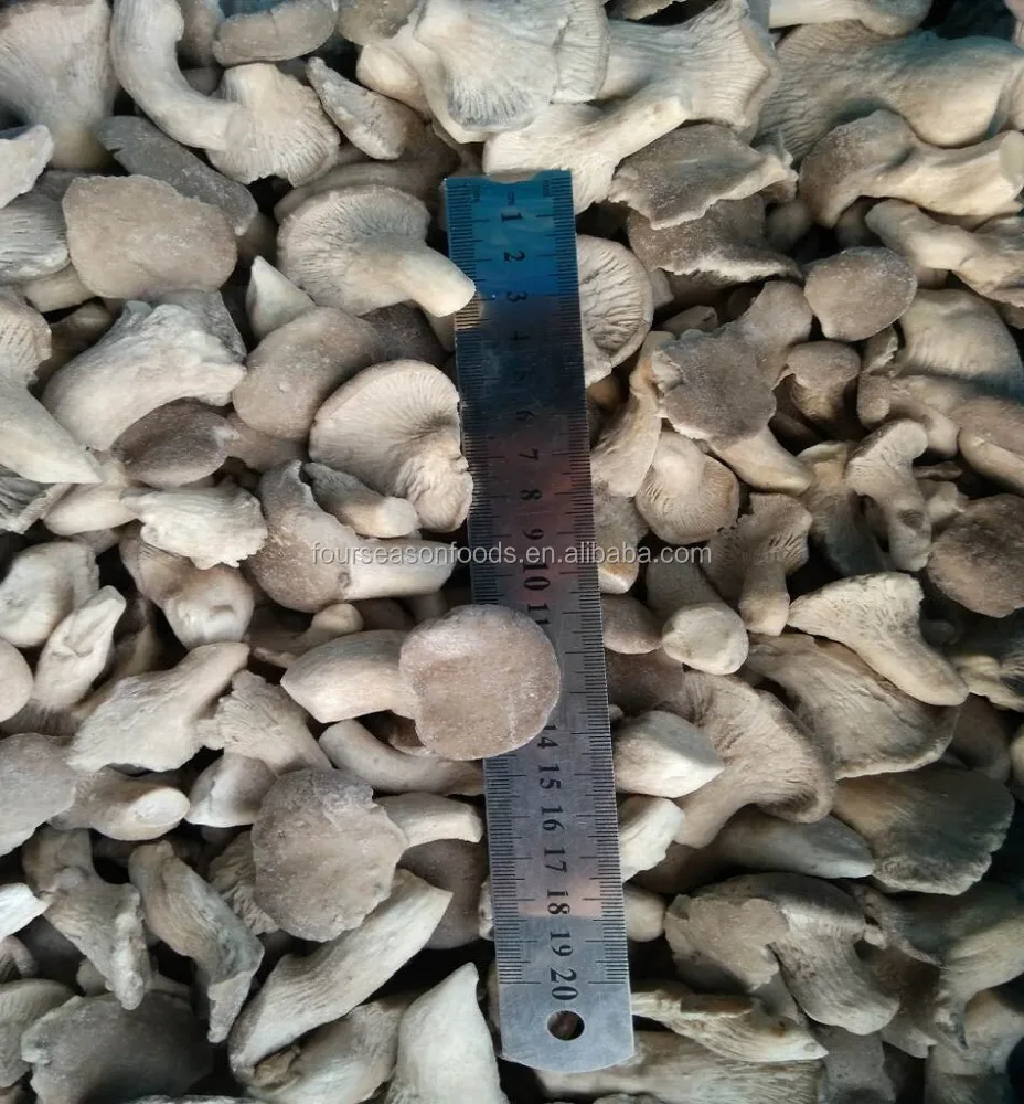 Golden supplier of all types frozen porcini mushrooms,frozen oyster mushroom,frozen mushroom