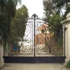 2017 New type main house wrought iron grill gate designs
