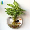 /product-detail/shopping-new-products-fashion-fishbowl-hanging-acrylic-wall-mounted-fish-tank-aquarium-bubble-bowl-fish-plant-60545092488.html