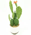 Wholesale Artificial Cactus in White Ceramic Round Pot, Fake Cactus Plants for Decoration,13.2 inch