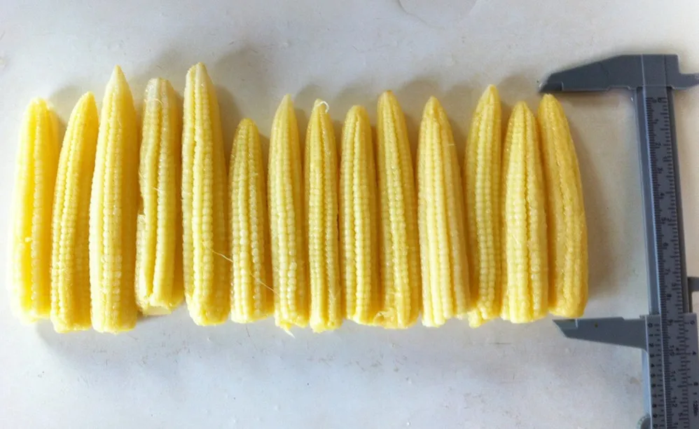 canned baby corn 4.jpg